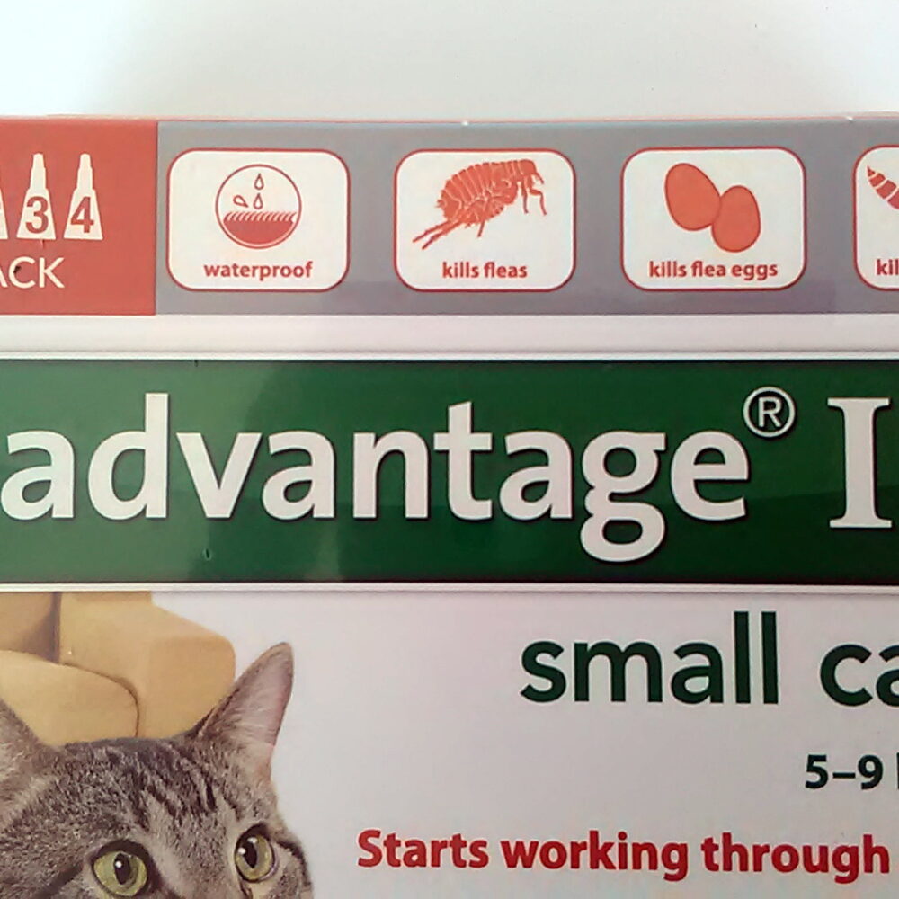 Bayer Advantage II for Small Cats 5-9 Lbs - 4 Pack - Genuine EPA Approved - Image 7