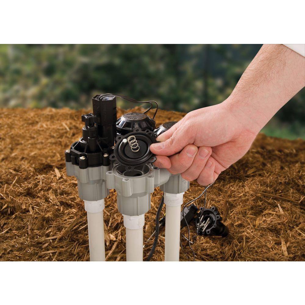 Image of the Rain Bird 3/4 in. FPT Professional Grade Anti-Siphon Valve /Flow Control by Rain Bird, SKU: 2373